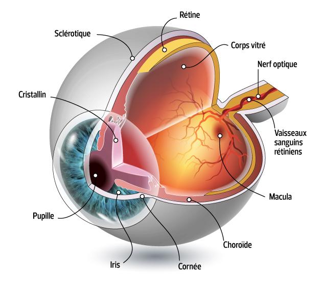 OPHTALMOLOGIE